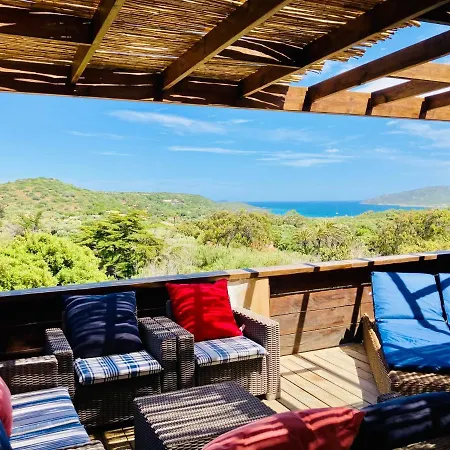 Cemiliana * Бонифачо