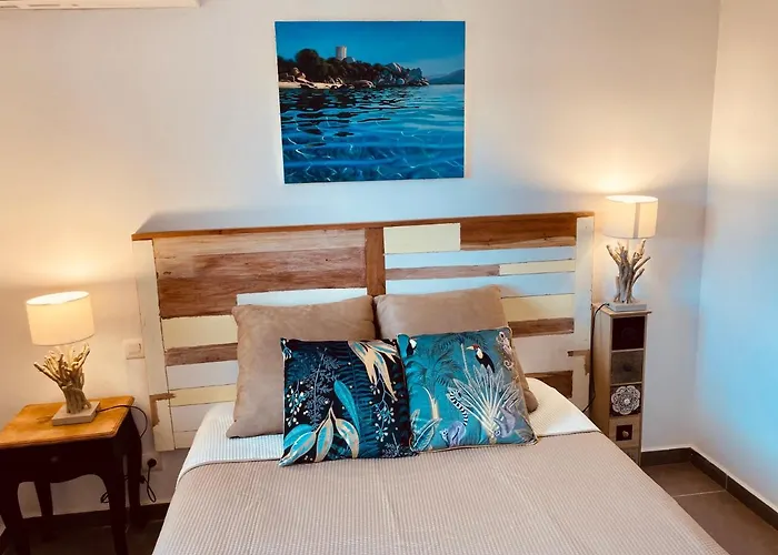 Cemiliana 博尼法乔